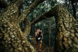 BIB: 
                            <button type="button" onclick="openModal(25671113)" class="btn btn-primary btn-sm float-right btn-popup" data-toggle="modal" data-target=".modal-high-quality">
                        <i class="fas fa-shopping-cart"></i> Add to Cart
                    </button>
                                            <button type="button" onclick="isThisMe(25671113, true)" class="btn btn-success btn-sm float-right btn-popup btn-isme hidden" data-toggle="tooltip" data-placement="bottom" title="นี่คือรูปของคุณใช่ไหม คลิกที่นี่เพื่อเอาเข้าอัลบั้ม">
                        <i class="fas fa-plus"></i> Add to album
                    </button>
                    <button type="button" onclick="isThisMe(25671113, false)" class="btn btn-warning btn-sm float-right btn-popup btn-isnotme hidden">
                        <i class="fas fa-ban"></i> Remove from album
                    </button>